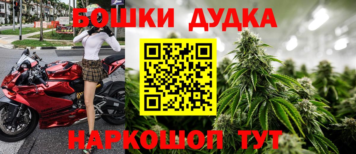 Бошки Шишки планчик Благовещенск